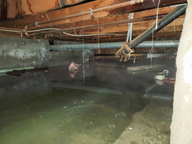 Best Emergency water damage restoration  in Livingston, CA