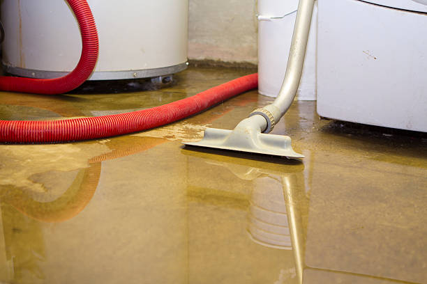 Best Carpet water damage restoration  in Livingston, CA