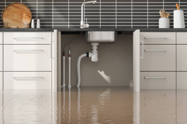 Best Water damage restoration specialists  in Livingston, CA